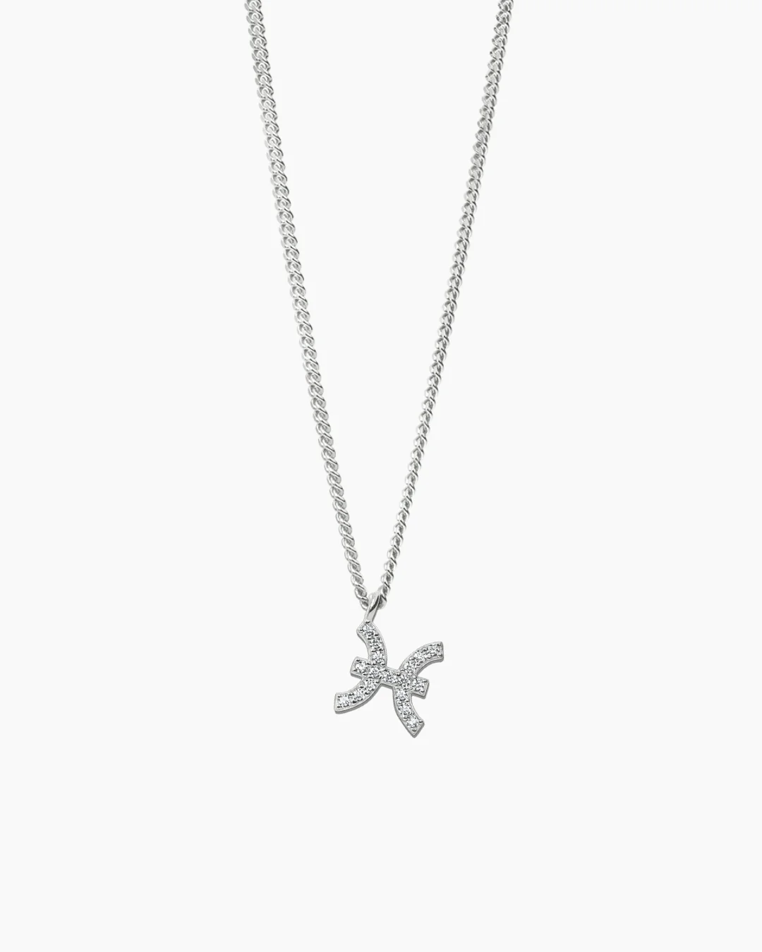 Zodiac Necklace Silver - Image 16